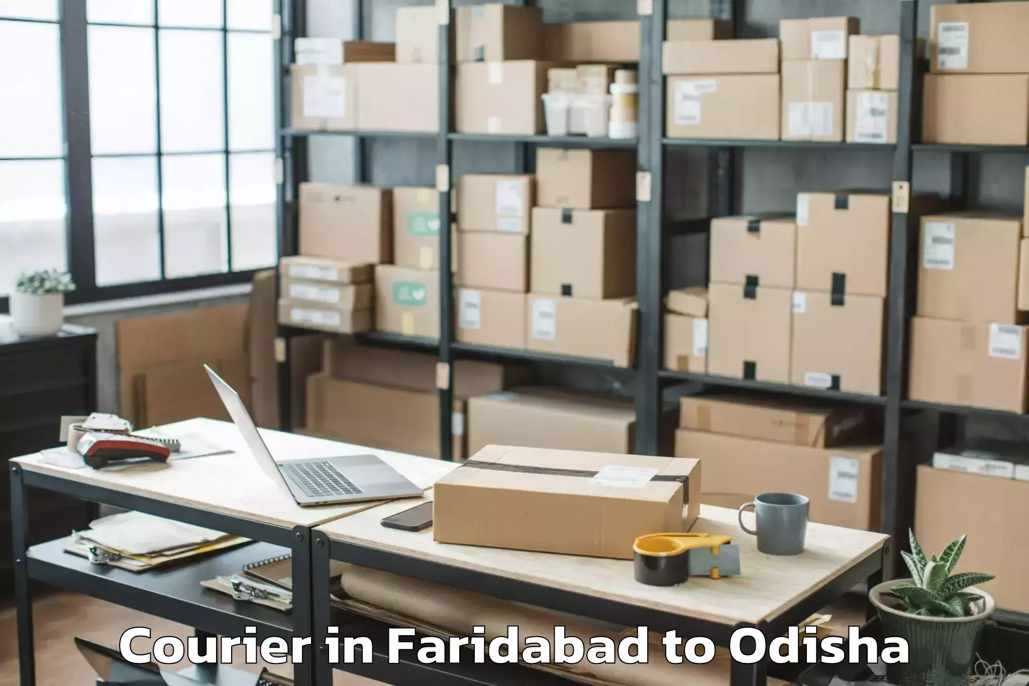 Faridabad to Mudulipada Courier